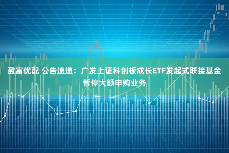 盈富优配 公告速递：广发上证科创板成长ETF发起式联接基金暂停大额申购业务